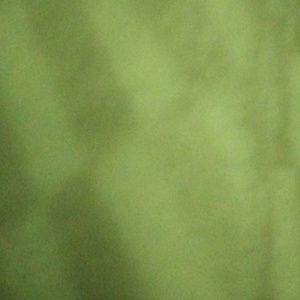 Meet your Posher, Dakota